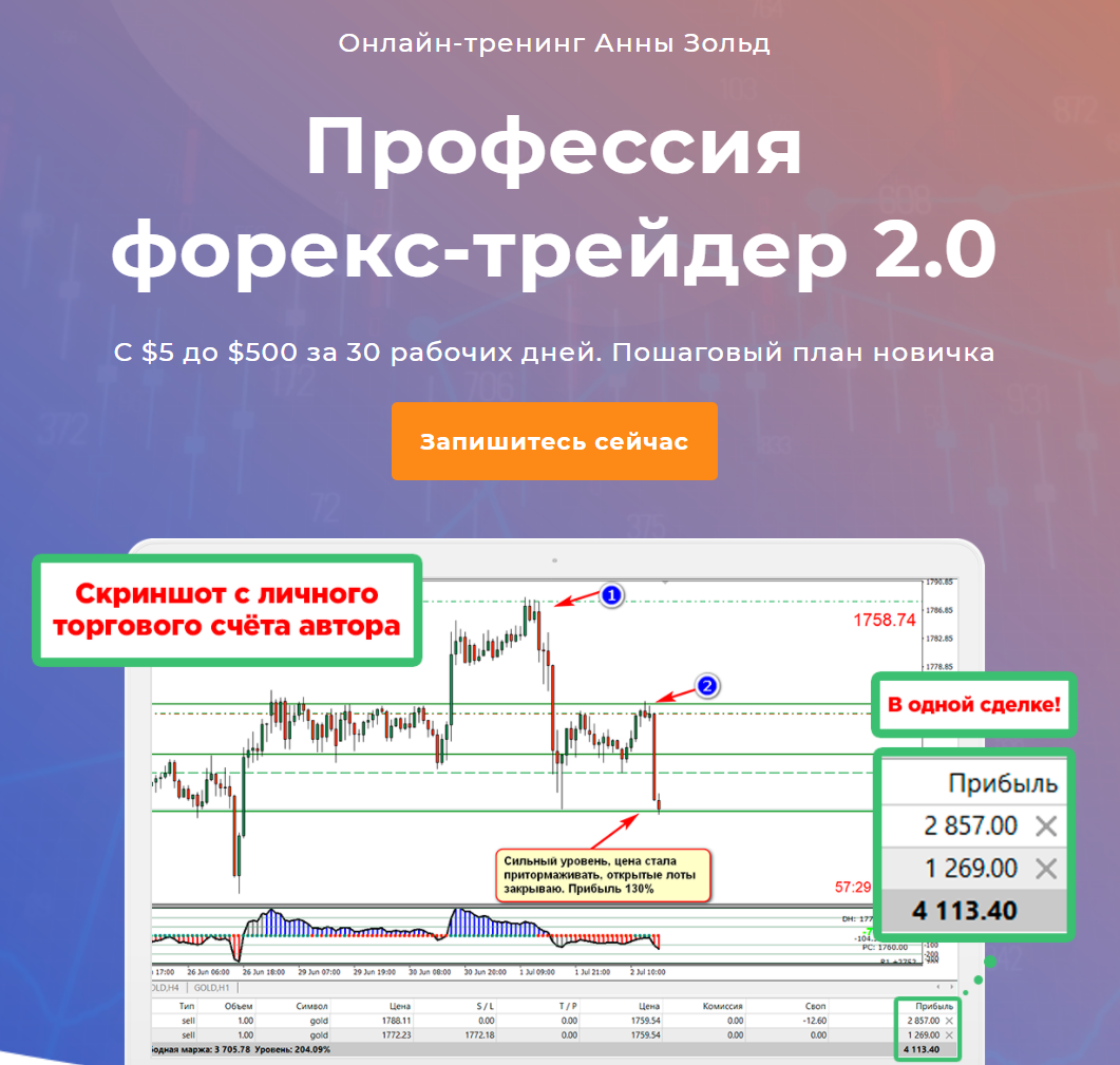 Анна Зольд Профессия форекс-трейдер 2.0 2020 слив курса