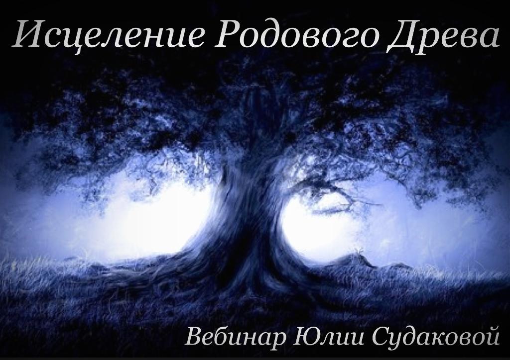 Исцеление родового древа слив курса