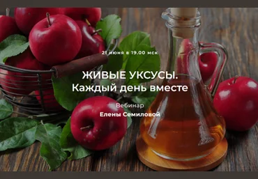 Елена Семилова Живые уксусы. Каждый день вместе 2023 слив