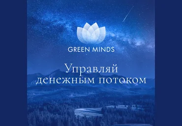 Алексей Ситников Нейромедитация Green minds «Управляй денежным потоком» 2023 слив