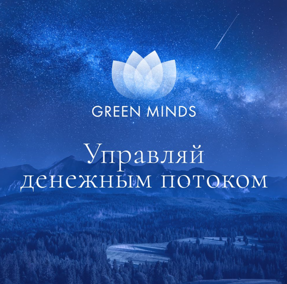 Алексей Ситников Нейромедитация Green minds «Управляй денежным потоком» 2023 слив курса