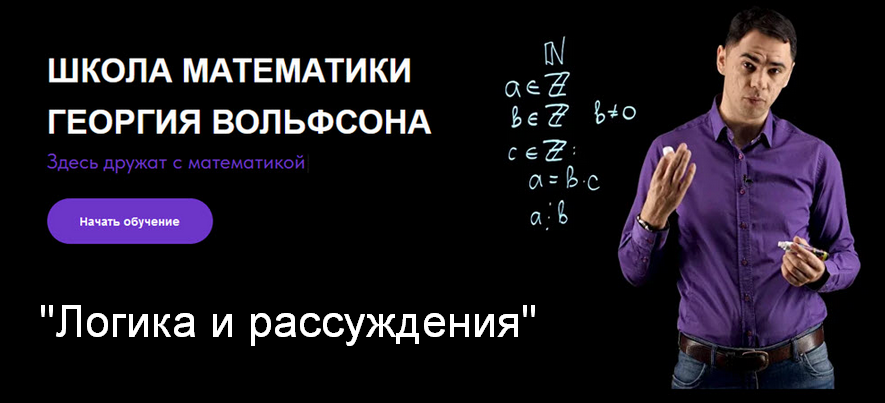 Георгий Вольфсон Школа Вольфсона Логика и рассуждения 2023 слив курса
