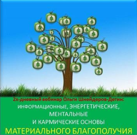 Ольга Шнейдеров-Детин inaintera Вебинар «Основы материального благополучия» 2024 слив курса