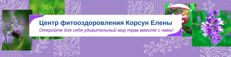 Елена Корсун Фитотерапия весеннего гиповитаминоза 2021 слив курса