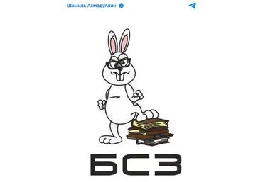 Шамиль Ахмадуллин Базовая система знаний 2024 слив