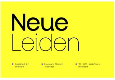 Elements.Envato Neue Leiden Typeface 2022 слив