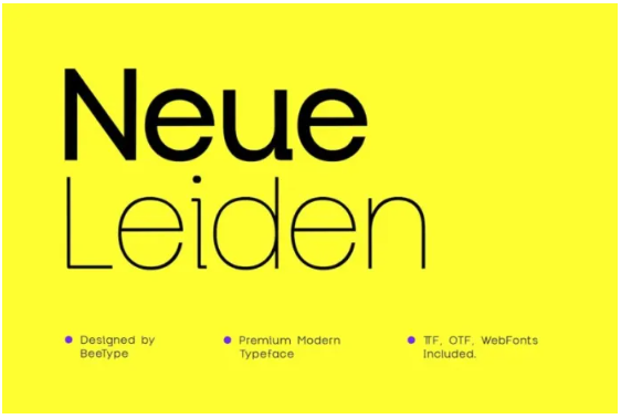 Elements.Envato Neue Leiden Typeface 2022 слив курса