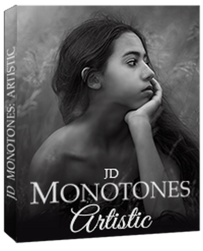 JD Monotones Monotones: Artistic in Action слив курса