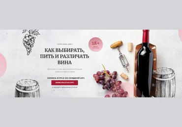 Яна Савельева Как выбирать, пить и различать вина 2023 слив
