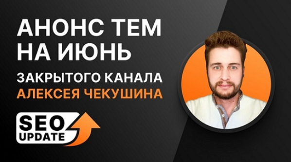 Алексей Чекушин Закрытый телеграм-канал «SEO Update». Июнь 2024 слив курса