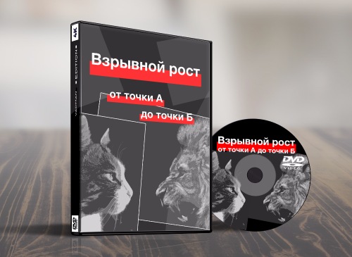 Взрывной рост: Из точки А в точку Б 2017 - Игорь Папуашвили слив курса