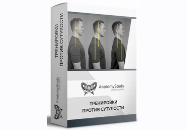 Александр СеменовAnatomyStudy Тренировки против сутулости. Диагностика и коррекция осанки 2023 слив