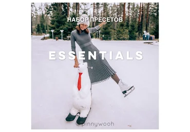 Лена pinnywooh 28 пресетов для создания идеальной ленты Essentials 2020 слив