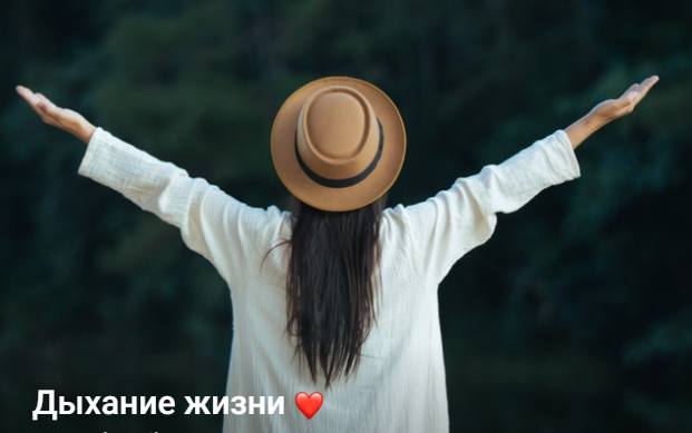 Большая Медведица Елена Артамонова ― Дыхание жизни 2024 слив курса