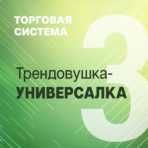 Александр Силаев Трендовушка-универсалка 2024 слив курса