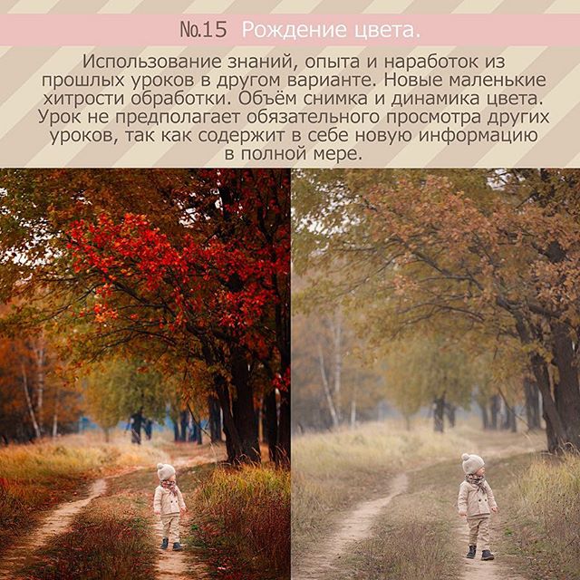 Урок №2. Рождение цвета - Калмыкова слив курса