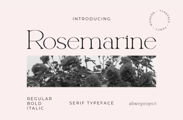 Fontbundles Rosemarine Font 2021 слив курса