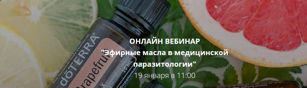 Игорь Кауфман detoxkafa Эфирные масла в медицинской паразитологии 2022 слив курса