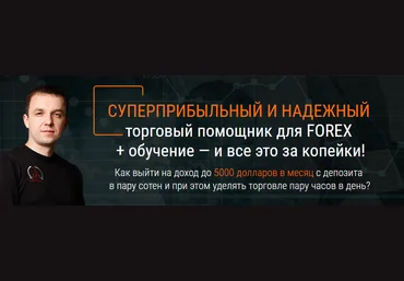 Быстрый старт на FOREX за 3 дня - Стриж 2016 слив