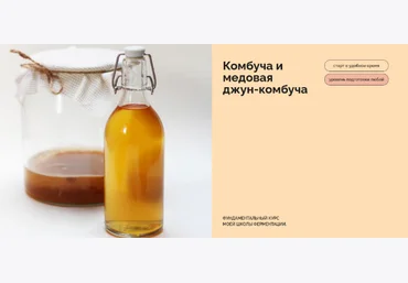 Мария Сочилкина fermentinwonderland.ru Комбуча и медовая джун-комбуча 2023 скачать слив