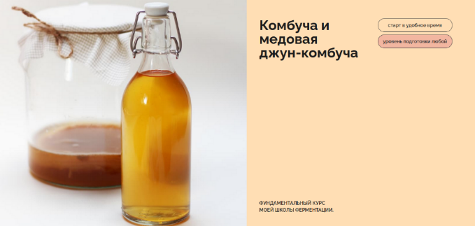 Мария Сочилкина fermentinwonderland.ru Комбуча и медовая джун-комбуча 2023 слив курса