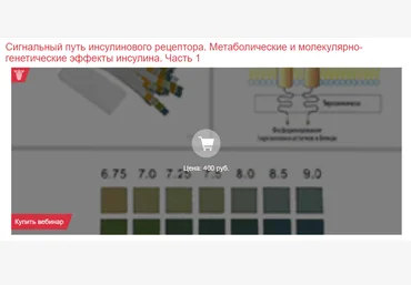 Клиника Калинченко Леонид Ворслов - Сигнальный путь инсулинового рецептора. Часть 1 2023 слив