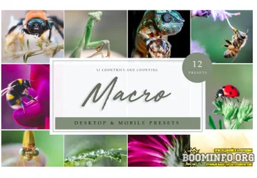 Elements.Envato Lightroom Presets – Macro Vol. 1 2021 скачать слив