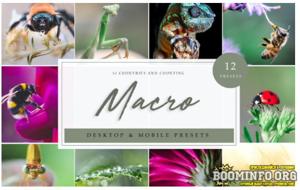 Elements.Envato Lightroom Presets – Macro Vol. 1 2021 слив курса