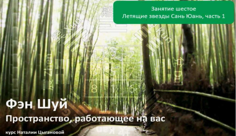 Наталия Цыганова Летящие звезды Сань Юань -1 Транскрибация слив курса