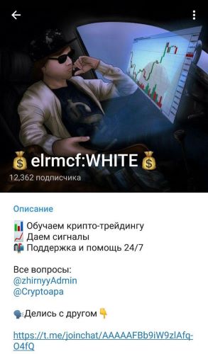 Elrmcf Обучающий курс слив курса