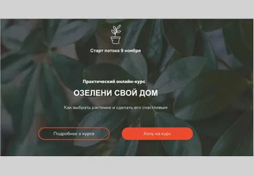 Plants_zasteklom Натали Серова ― Озелени свой дом 2021 слив