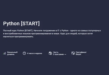 Future People Stepik Python.Start 2025 скачать слив