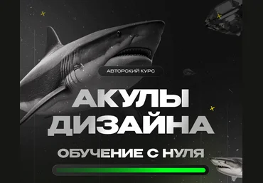 Лилия Асылханова Followandbloom Акулы дизайна. Тариф С куратором 2024 слив
