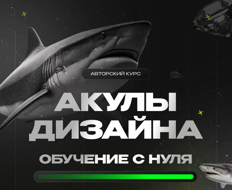 Лилия Асылханова Followandbloom Акулы дизайна. Тариф С куратором 2024 слив курса