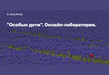 Timepad Елена Веселаго - «Особые дети». Онлайн-лаборатория 2021 слив