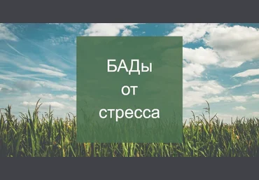 Елена Суханова Психокоррекция через нутрицевтики 2024 слив