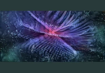 Sapien Medicine Вибрация творения 2020 слив