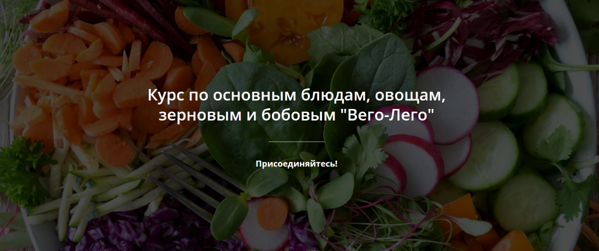Яна Сидакова Яна-Вегана Курс «Вего-Лего». Тариф Групповой 2022 слив курса
