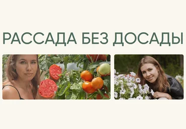 Анна Акинина Рассада без досады. Овощная + цветочная рассада 2023 слив