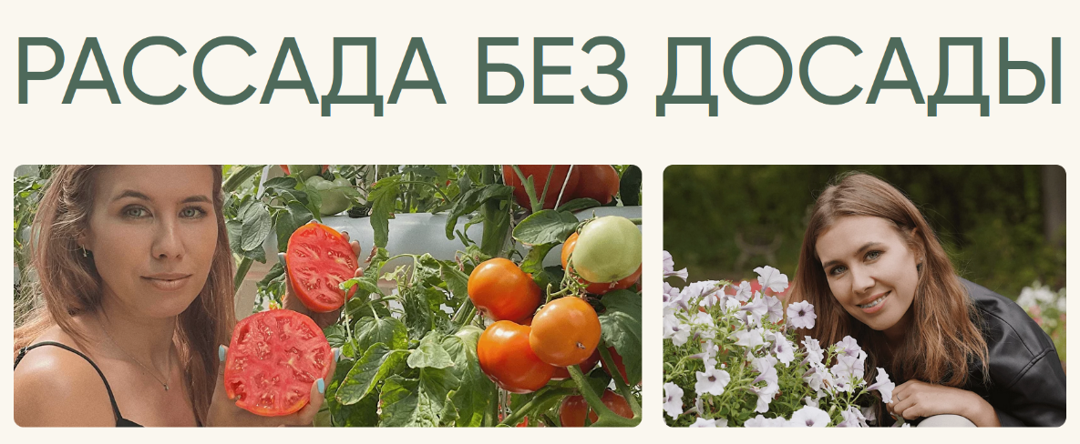 Анна Акинина Рассада без досады. Овощная + цветочная рассада 2023 слив курса