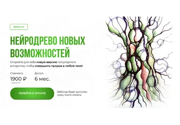 Оксана Авдеева Школа нейрографики Нейродрево новых возможностей 2024 слив