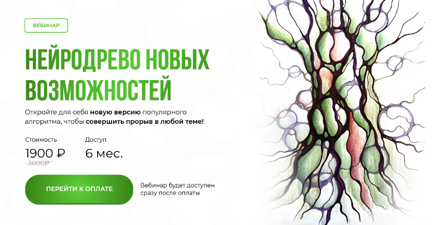 Оксана Авдеева Школа нейрографики Нейродрево новых возможностей 2024 слив курса