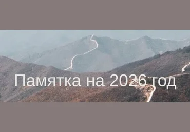 Юлия Бальсина Памятка на 2026 год 2025 скачать слив