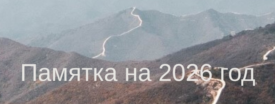Юлия Бальсина Памятка на 2026 год 2025 слив курса