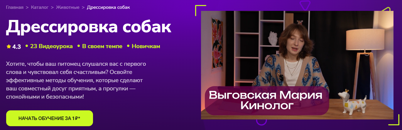 TutorPlace Мария Выговская ― Дрессировка собак 2025 слив курса
