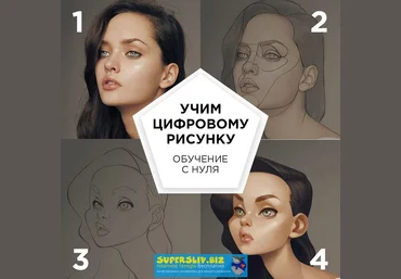 Fenix Анастасия Васильева - Базовый курс по цифровому рисунку 2019 слив