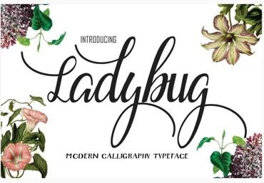 Fontbundles Ladybug Font 2021 скачать слив