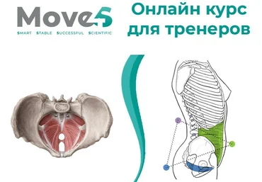 move4s Леля Савосина - Тазовая диафрагма 2020 слив