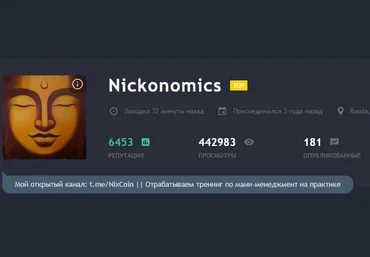 Nickonomics Вебинар по мани-менеджменту в инвестициях 2018 слив