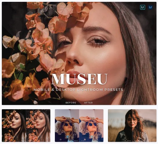 Elements.Envato Museu Mobile and Desktop Lightroom Presets 2021 слив курса